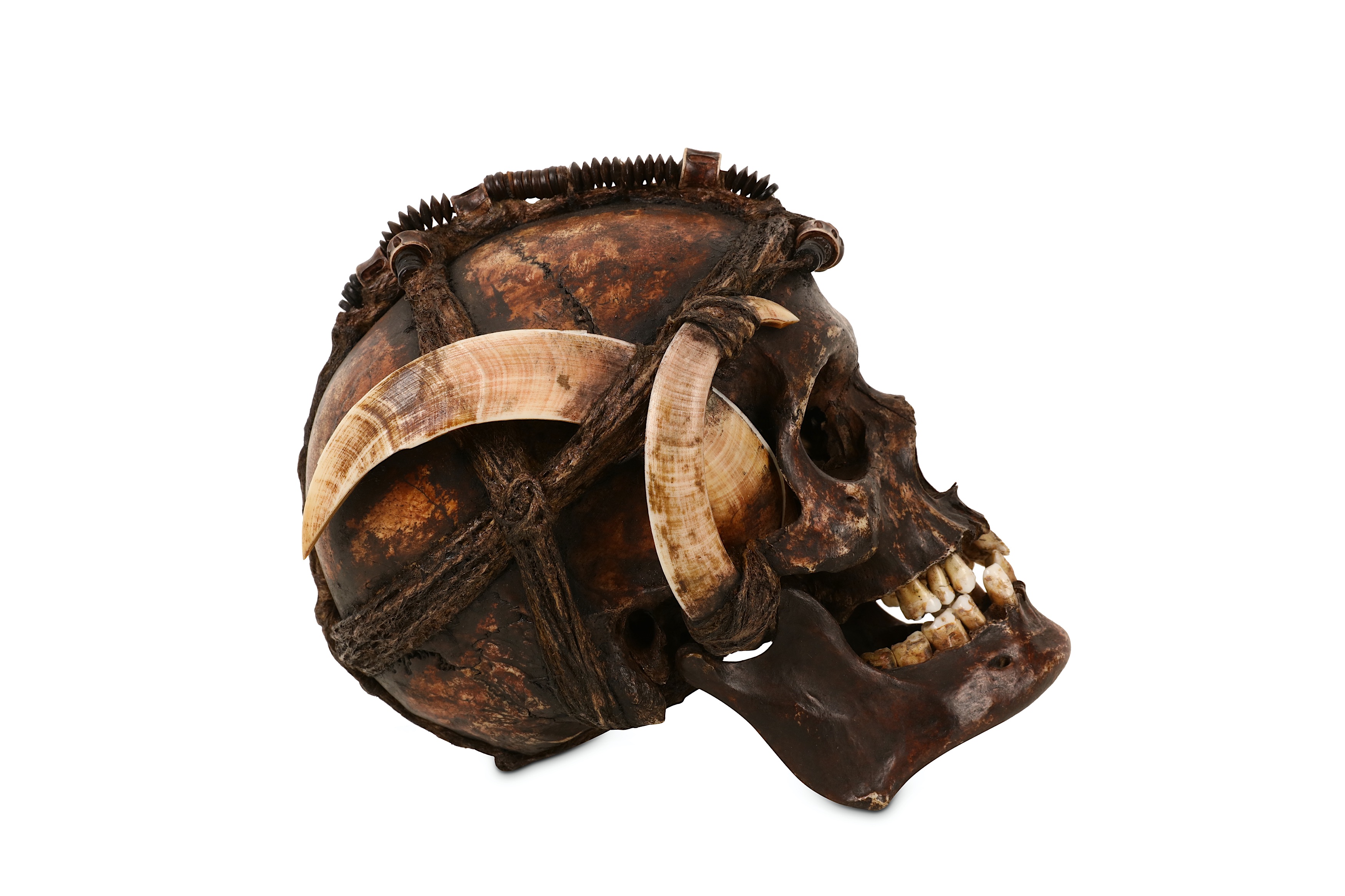 TRIBAL: A DAYAK ANCESTOR HUMAN SKULL DECORATED WITH BOAR TUSKS - Image 5 of 6