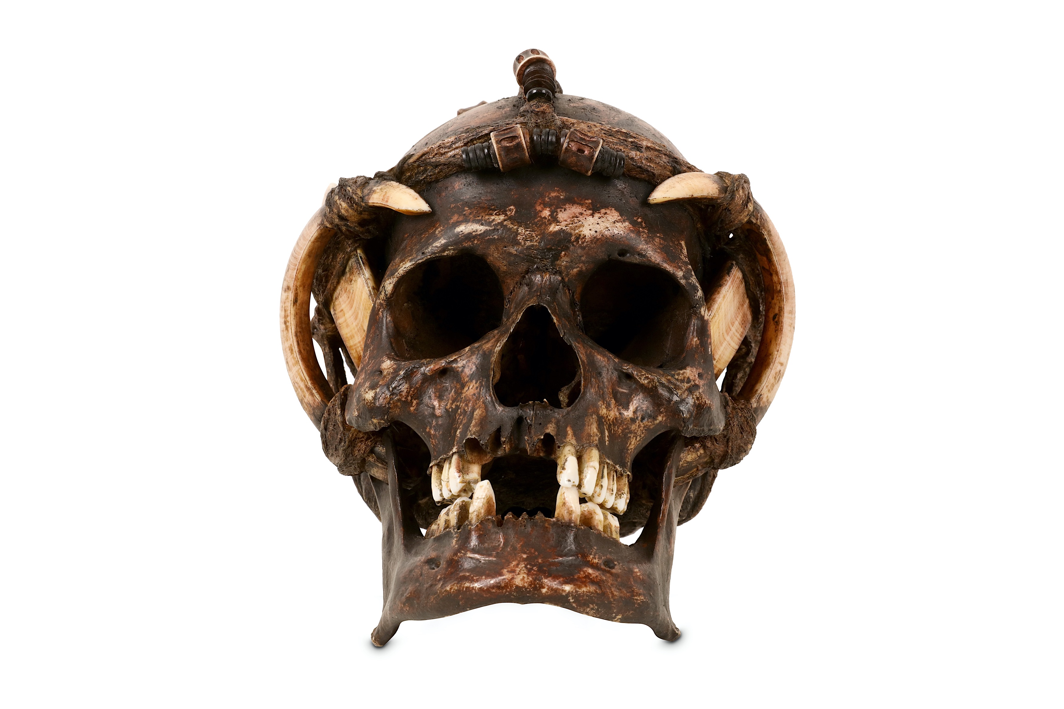 TRIBAL: A DAYAK ANCESTOR HUMAN SKULL DECORATED WITH BOAR TUSKS - Image 2 of 6