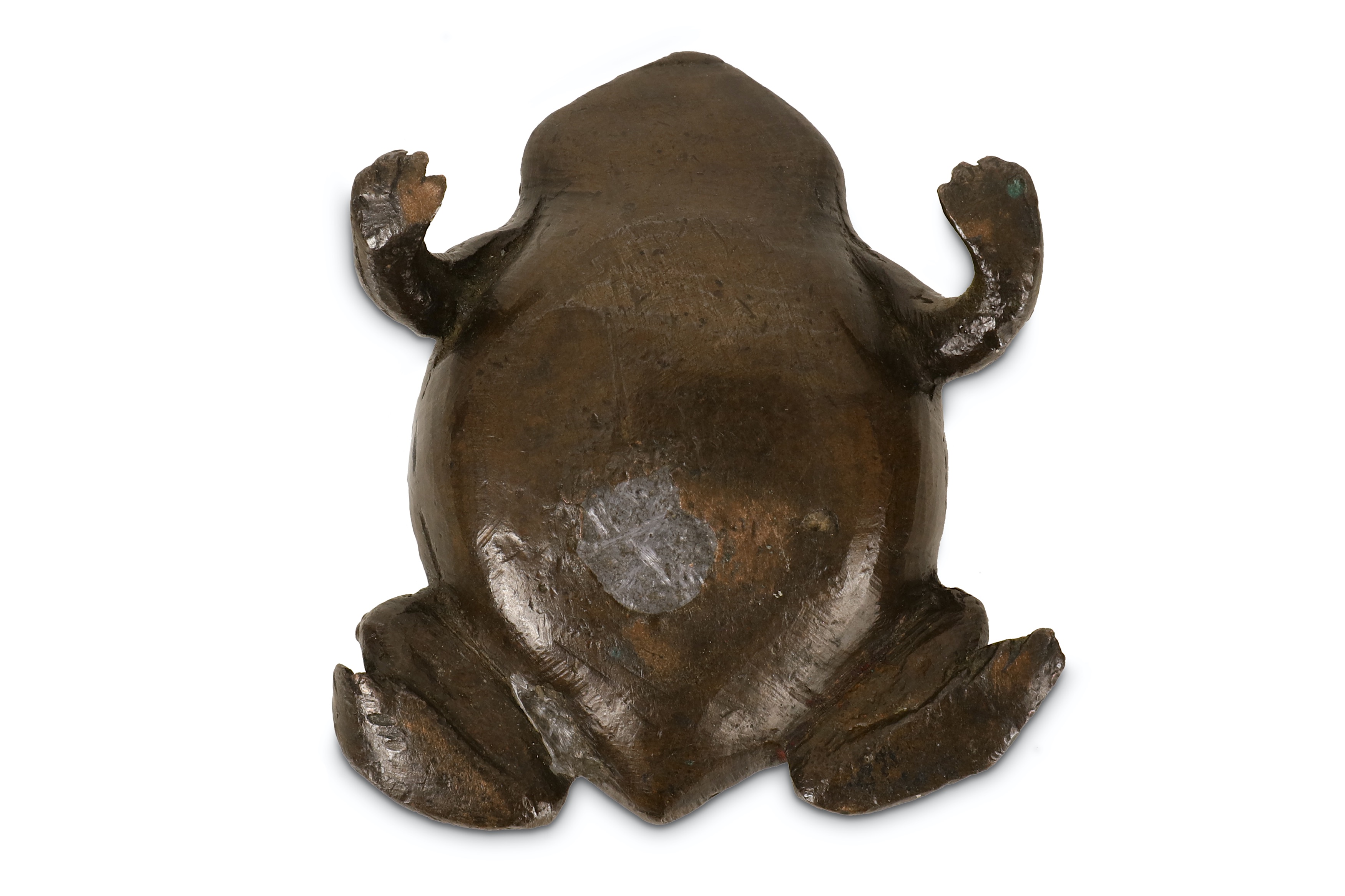 A 16TH CENTURY PADUAN BRONZE MODEL OF A TOAD - Image 7 of 7