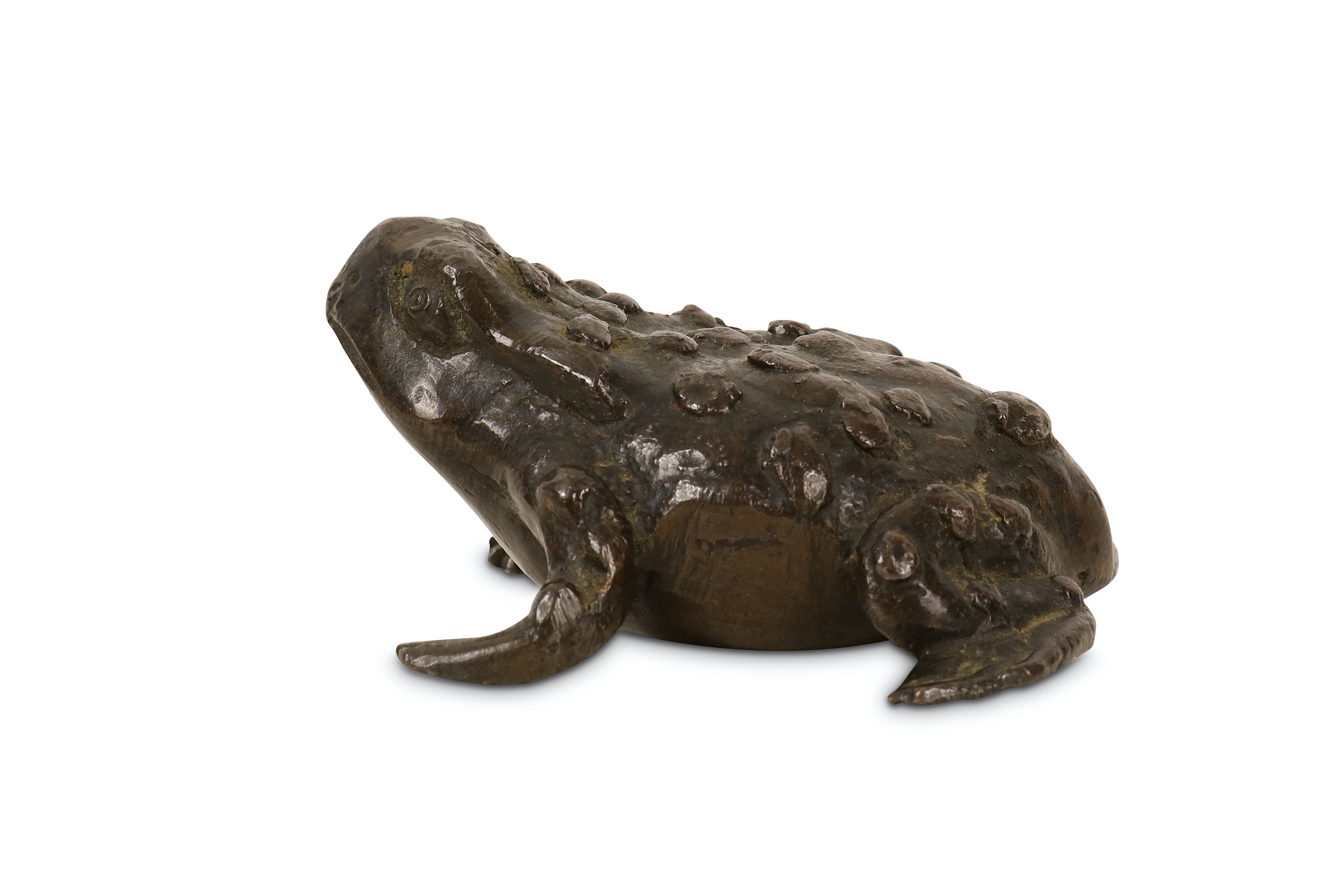 A 16TH CENTURY PADUAN BRONZE MODEL OF A TOAD - Image 2 of 7