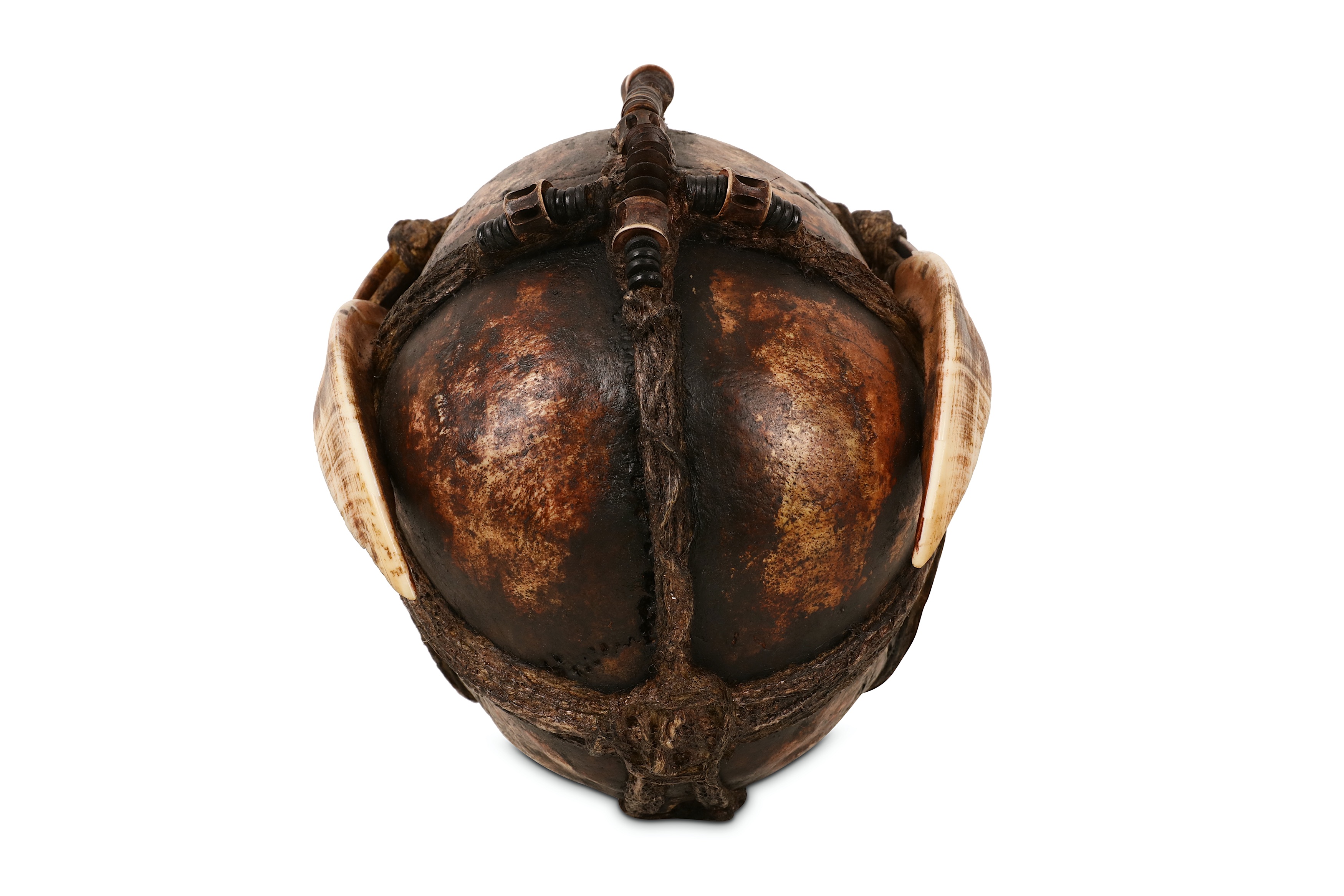 TRIBAL: A DAYAK ANCESTOR HUMAN SKULL DECORATED WITH BOAR TUSKS - Image 4 of 6