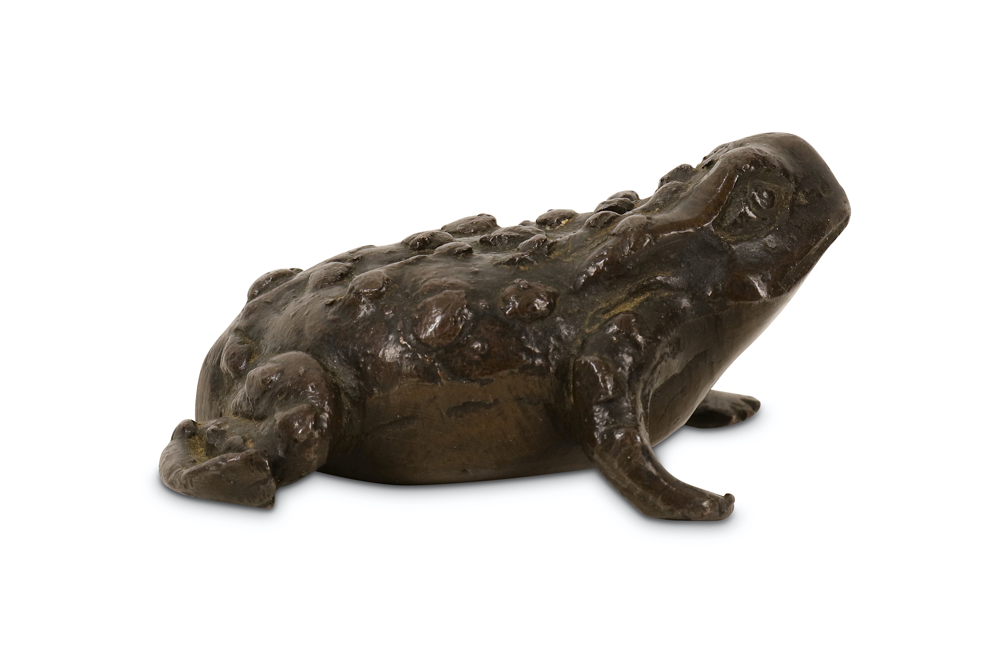 A 16TH CENTURY PADUAN BRONZE MODEL OF A TOAD - Image 4 of 7