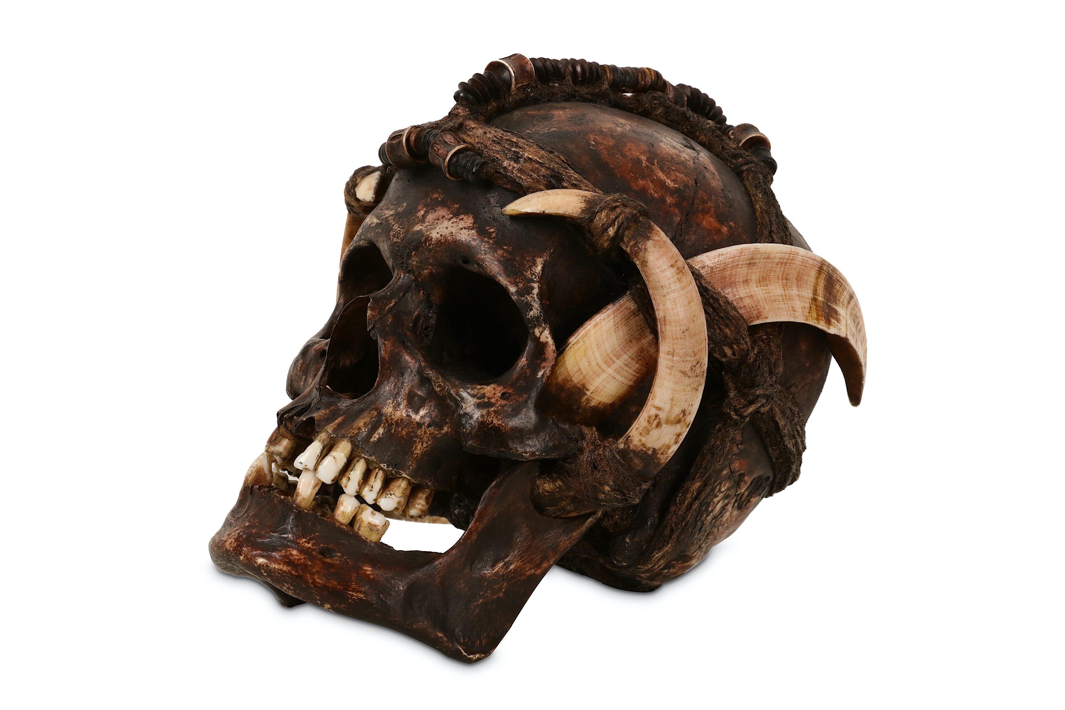 TRIBAL: A DAYAK ANCESTOR HUMAN SKULL DECORATED WITH BOAR TUSKS