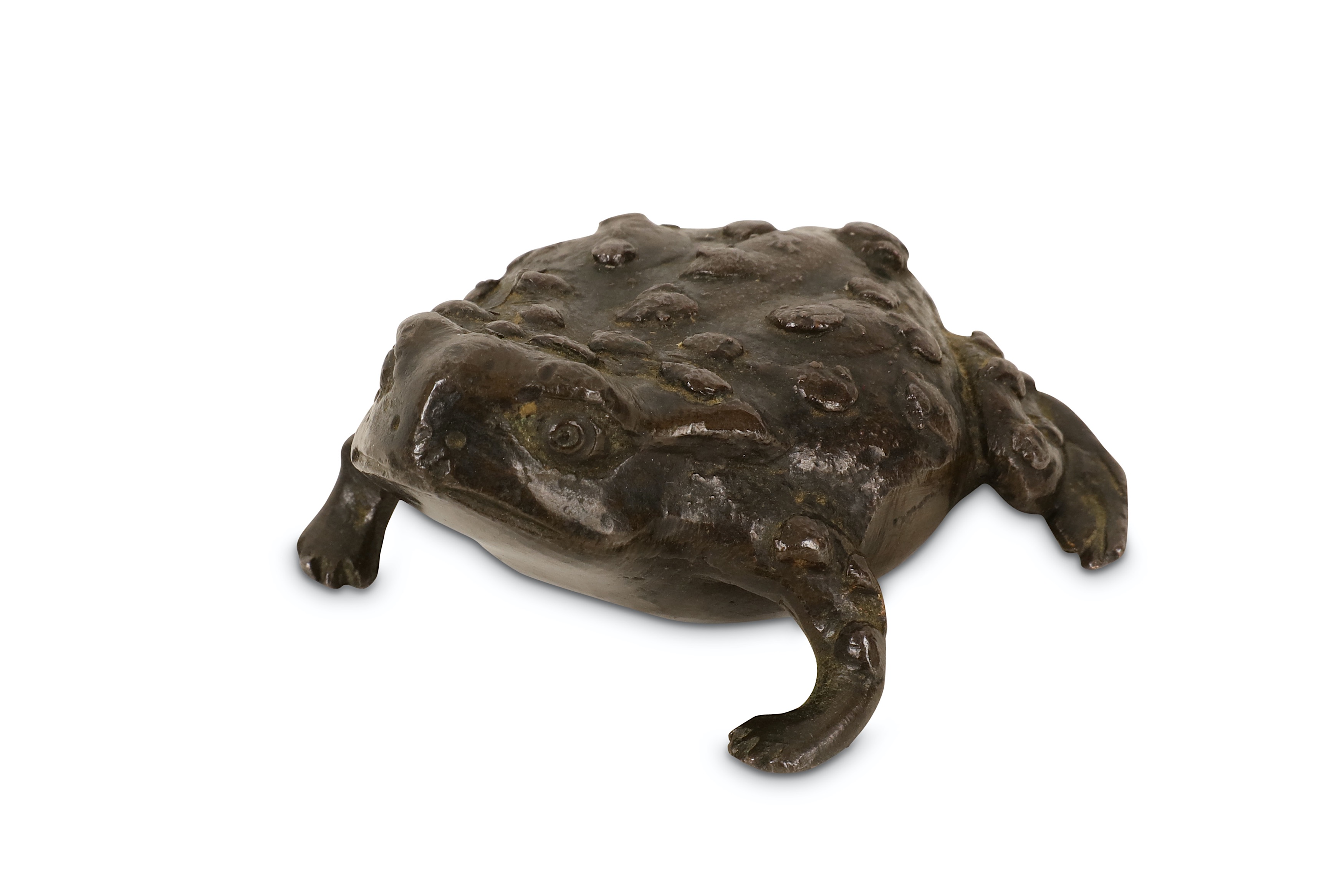 A 16TH CENTURY PADUAN BRONZE MODEL OF A TOAD