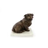 Sally Arnup FRBS, ARCA (1930-2015) ''Norfolk Terrier''