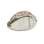 A rare Victorian Scottish provincial silver mounted cowrie shell snuff box, Dundee circa 1850 by