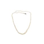 A single-strand cultured pearl necklace, by Mikimoto