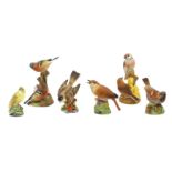 Six Royal Worcester birds