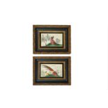 A PAIR OF CHINESE FRAMED BIRD PAINTINGS.