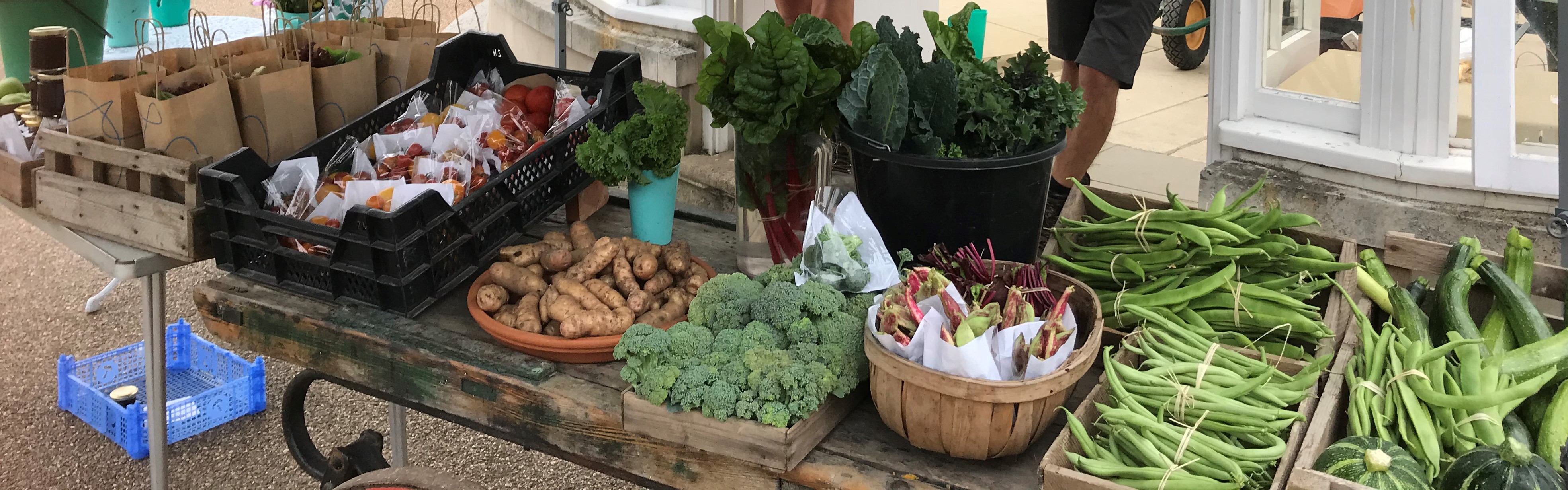 A monthly seasonal veggie box