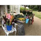 A bespoke selection of vegetables, herbs, flowers, honey, jam and a potted camellia