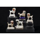 A collection of five Staffordshire poodles
