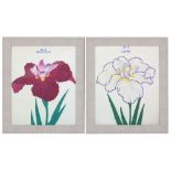 A set of twelve Japanese Woodcuts of Iris,