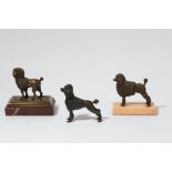 A contemporary cold painted bronze figure of a clipped poodle