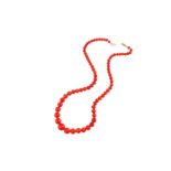 λ Two coral bead necklaces