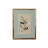 A SET OF TWELVE LATE 19TH CENTURY JAPANESE MEIJI PERIOD BUTTERFLY PAINTINGS