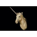 A TAXIDERMY 'UNICORN' (EQUUS CABALLUS)