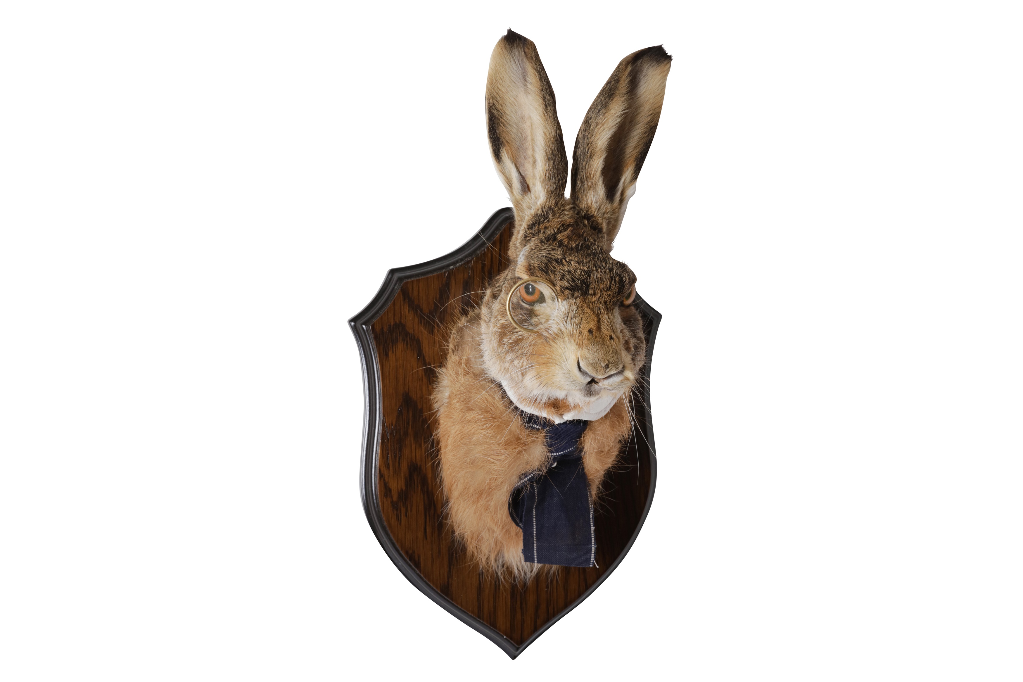 AN ANTHROPOMORPHIC TAXIDERMY TROPHY OF A GENTLEMAN HARE