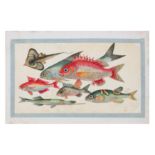 AMENDED - A LATE 19TH / EARLY 20TH CENTURY FOLIO OF CHINESE PAINTINGS OF FISH ON PITH PAPER