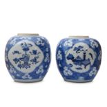 TWO CHINESE BLUE AND WHITE JARS.