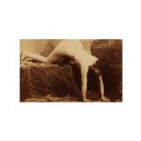 A Collection of Late 19th Century French School Nude Portraits
