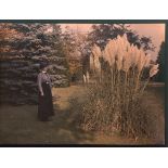 Group of Early Colour Images, Dufaycolor, Autochrome, Magic Lantern Slides etc. .