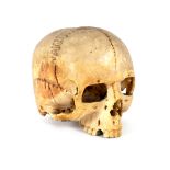An ivory skull, probably English or German, 19th Century,