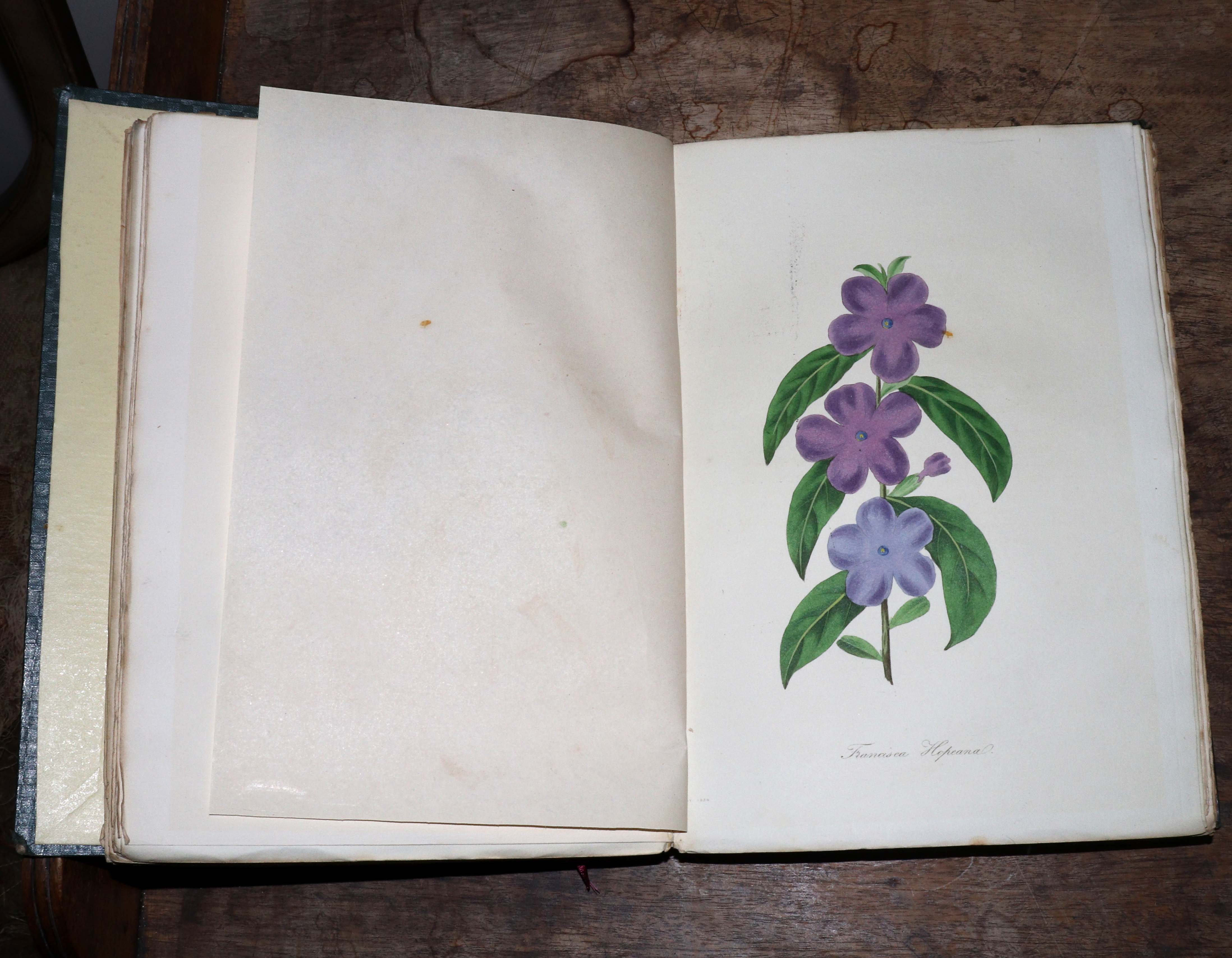 Paxton (Joseph) Paxton's Magazine of Botany, 7 vols., 1834 - 40. 8vo., orig. - Image 5 of 5