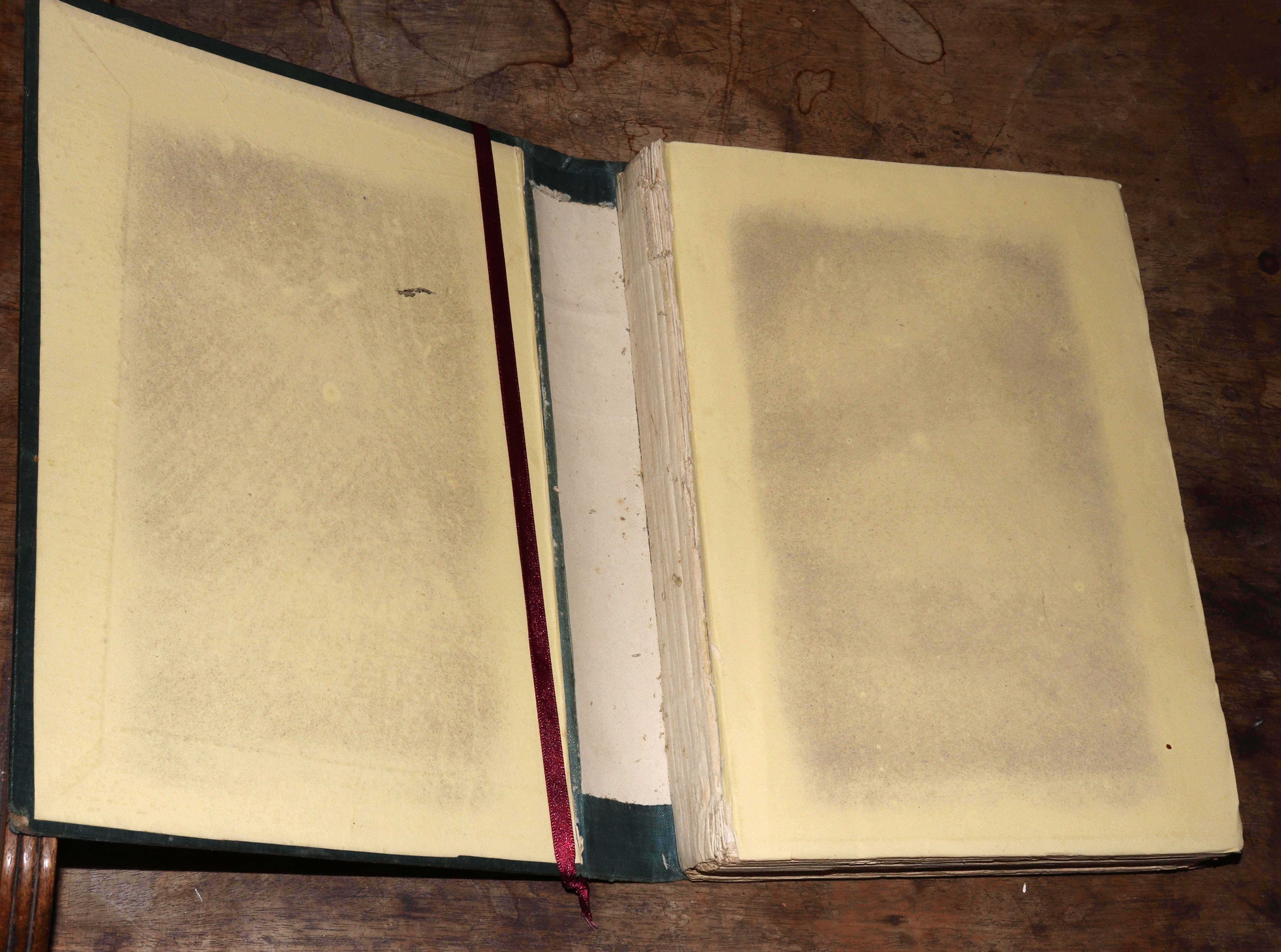 Paxton (Joseph) Paxton's Magazine of Botany, 7 vols., 1834 - 40. 8vo., orig. - Image 4 of 5