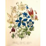 Loudon (Mrs Jane) The Ladies Flower-Garden of Ornamental Perennials, 2 vols., 1843 - 44. 4to., cont.