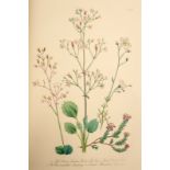Loudon (Mrs Jane) British Wild Flowers, 1847. 4to., orig. cloth gilt.