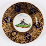 A Coalport blue ground plate, circa 1800, painted a central roundel of birds in a broad gilt border,