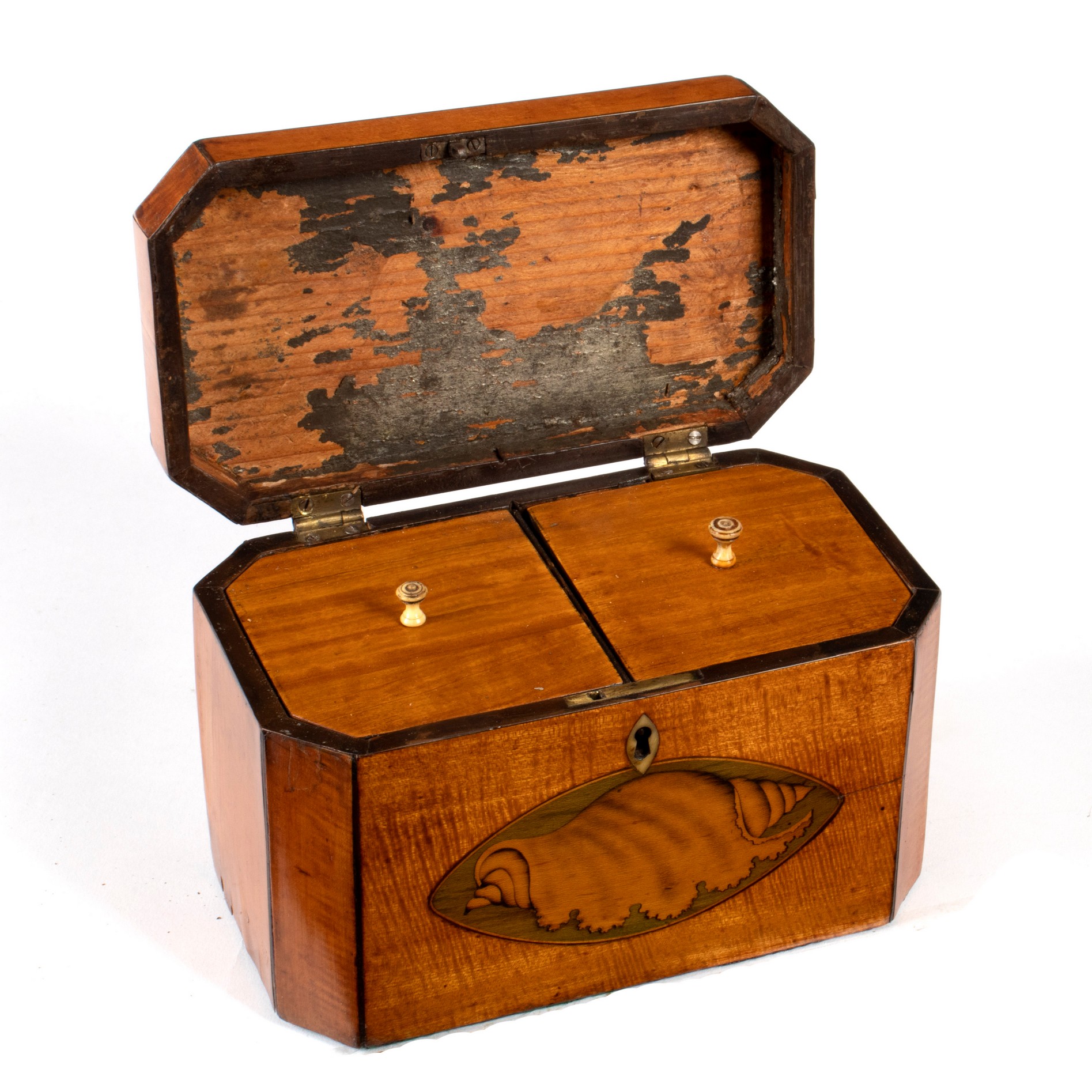 A George III satinwood tea caddy, inlaid a shell patera to the cover and front, - Image 2 of 2