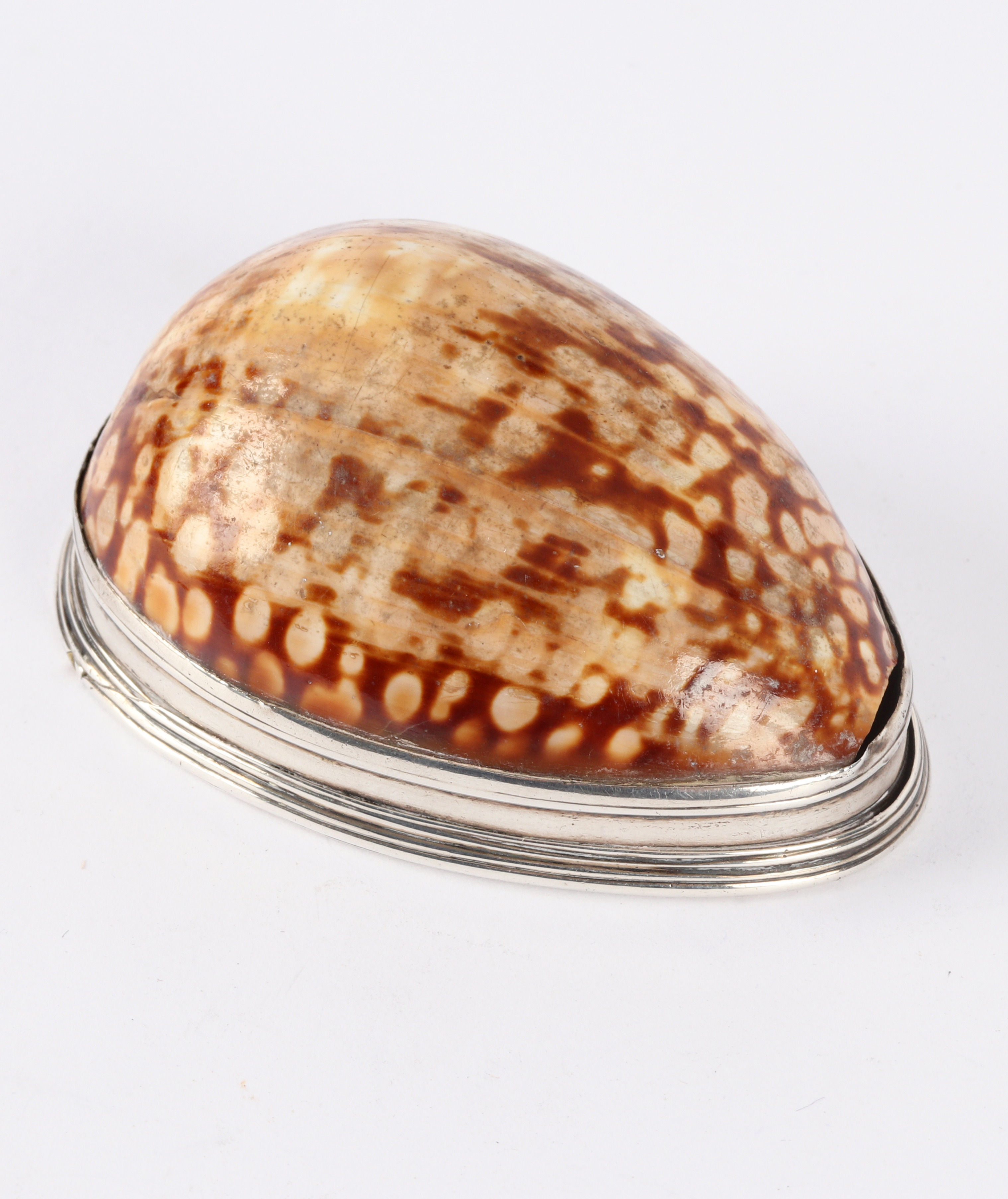 A mid 18th Century silver and cowrie shell box, - Image 2 of 4