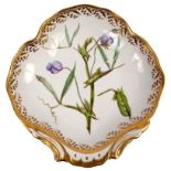 A Derby botanical shell-shaped dessert dish, circa 1790, painted with sweet peas, titled,