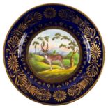 A Coalport blue ground plate from the Animal service, circa 1800, painted with 'The Axis,