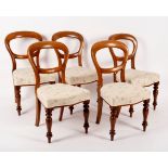 Five Victorian walnut dining chairs with upholstered seats on turned legs