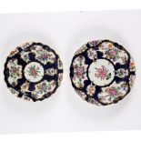 Two Worcester blue scale ground plates with reserves of flowers, circa 1770,