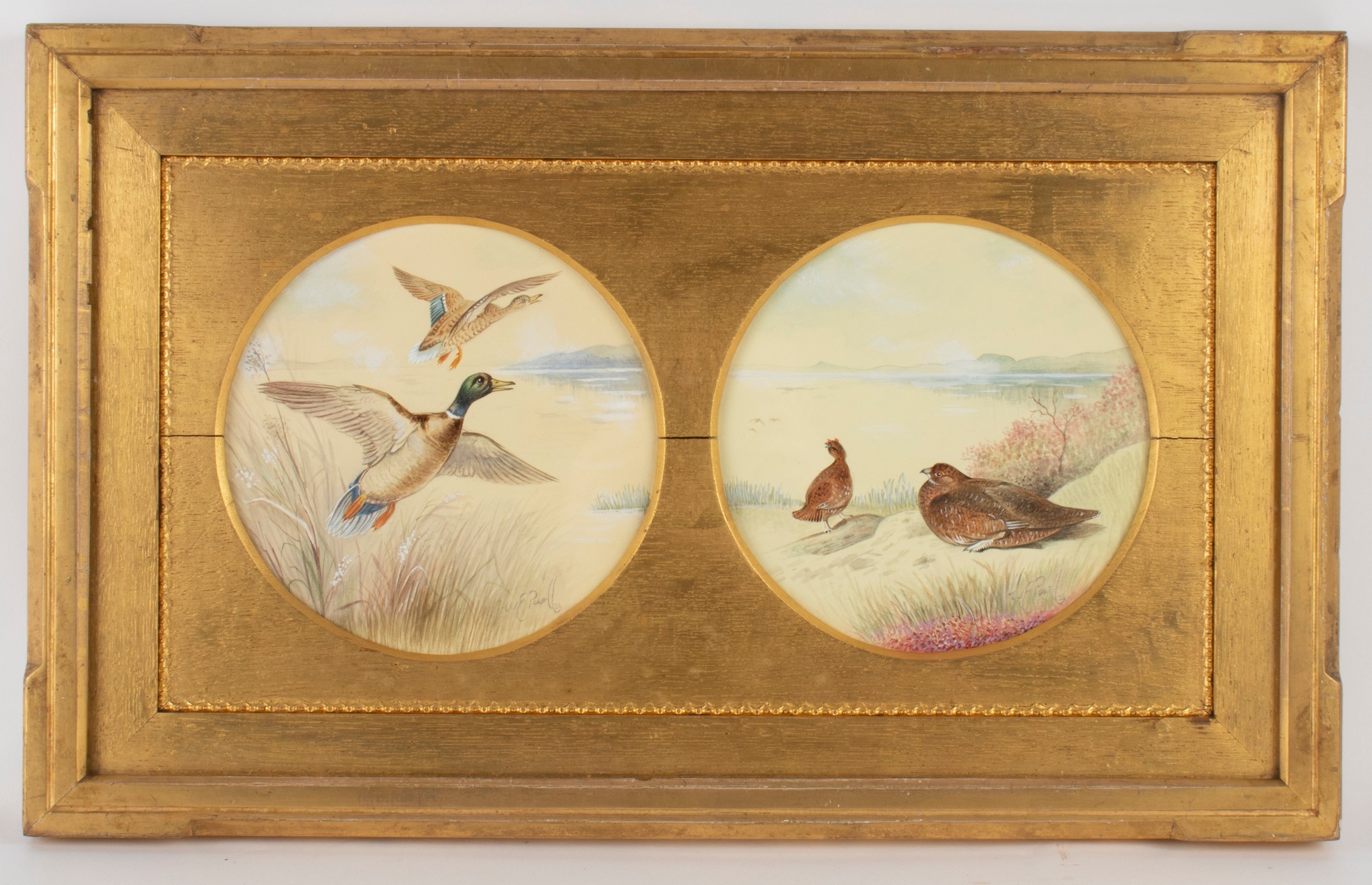 William E Powell/Ducks and Partridge/a pair framed as one/signed and dated 26/watercolour tondo,