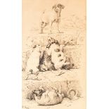 William Strutt (British 1825-1915)/Excelsior/signed, inscribed and inscribed verso/pen and ink,