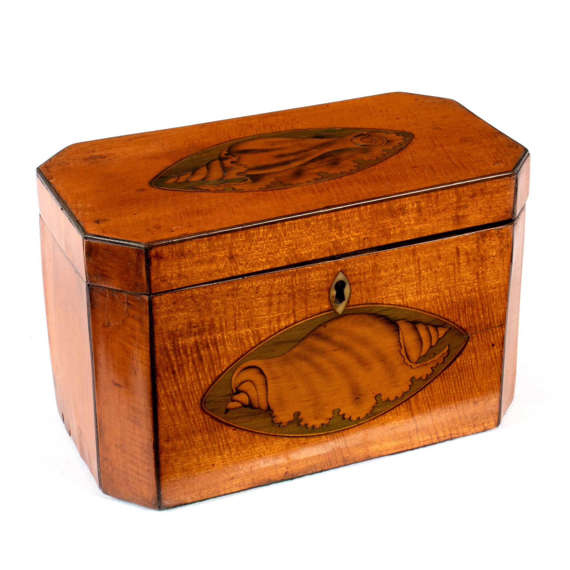 A George III satinwood tea caddy, inlaid a shell patera to the cover and front,