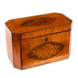A George III satinwood tea caddy, inlaid a shell patera to the cover and front,