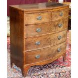 A 19th Century mahogany bowfront chest of two short over three long drawers
