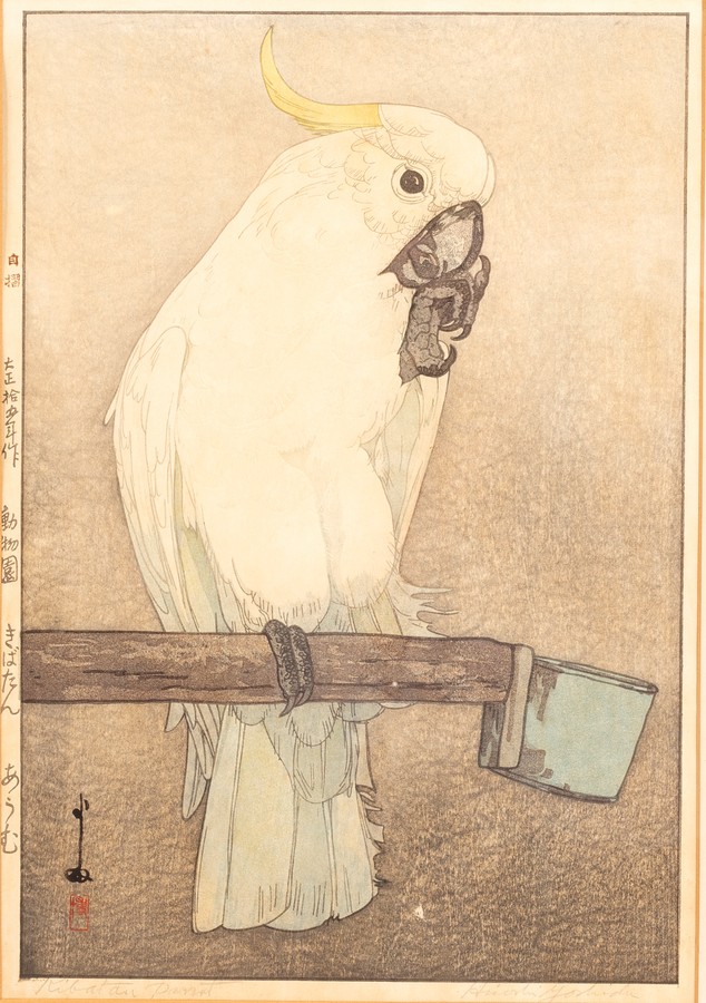 Hiroshi Yoshida (1876-1950)/Kibatan Parrot/woodcut,