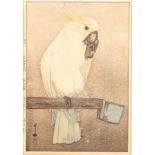 Hiroshi Yoshida (1876-1950)/Kibatan Parrot/woodcut,