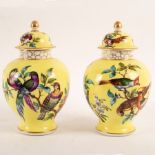 A pair of Dresden jars and covers, A R monogram, circa 1900, painted birds on a yellow ground, 25.