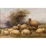 After T S Cooper/Sheep in a Pastoral Landscape/bears signature/watercolour,