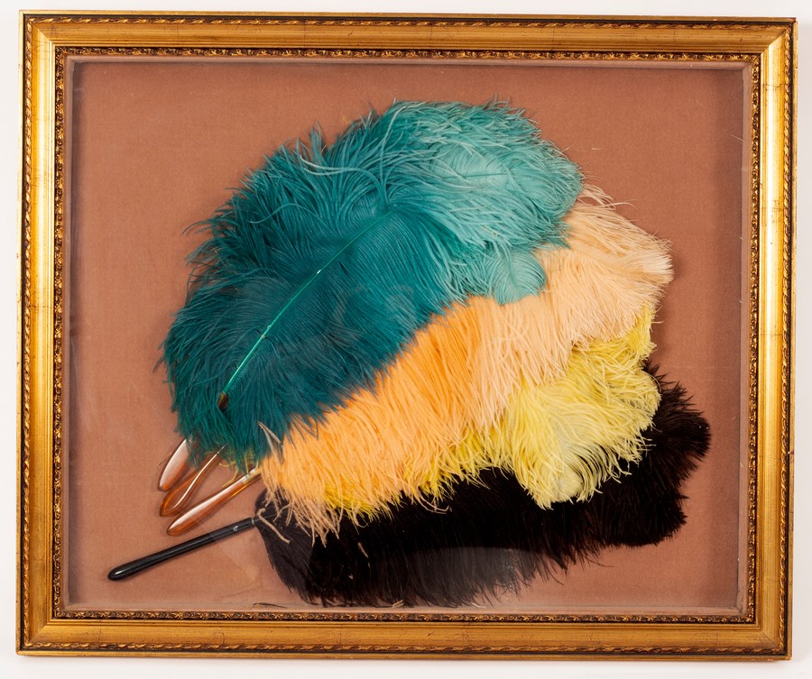 Four ostrich feather fans with simulated mother-of-pearl sticks, framed and glazed,