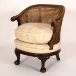 A tub armchair with a cane back above a cream loose cushion,
