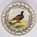 A Ridgeway plate, circa 1850, painted a black grouse within a heather border,